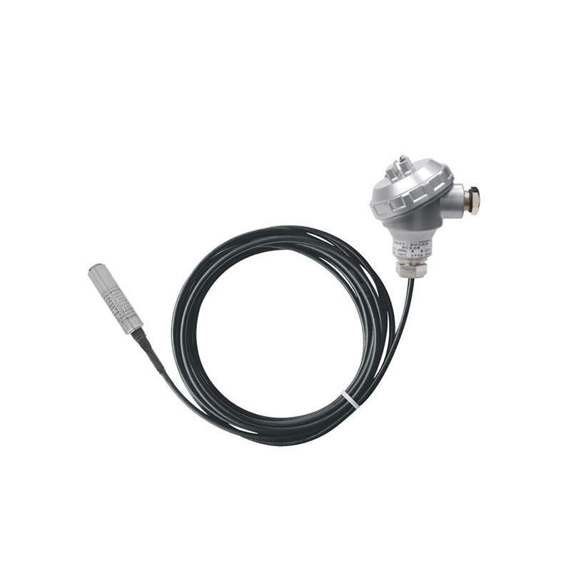 Máy phát mức chìm PB8600
